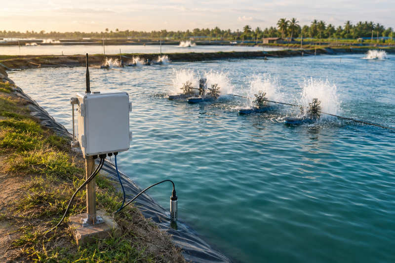 Monitoring Perikanan Tambak
